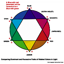 Diagram Colors