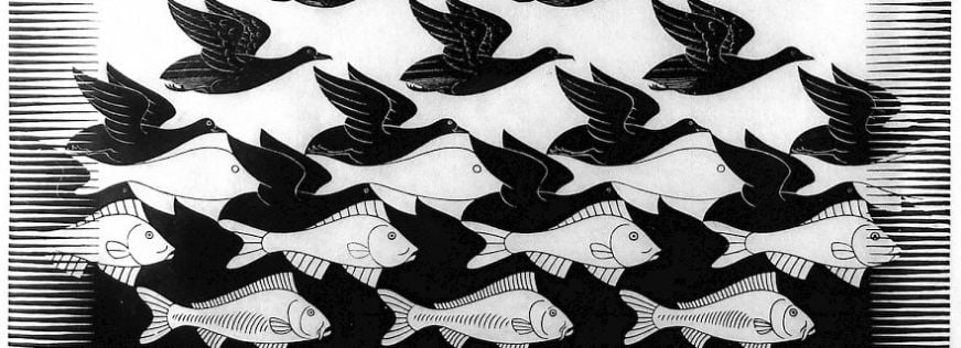 Escher Fish And Birds