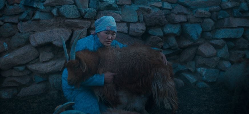 Wacan Stills 0045 edited brighter 300 DPI