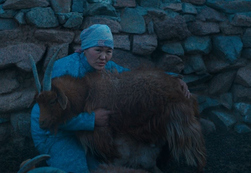 Wacan Stills 0045 edited brighter 300 DPI