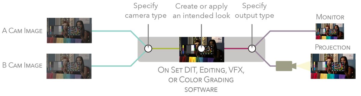 A basic breakdown of an ACES workflow.