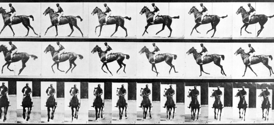 Horse In Motion Eadweard Muybridge