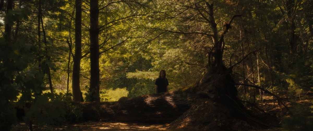 Theresa finds a fallen tree while walking through the woods near her home.