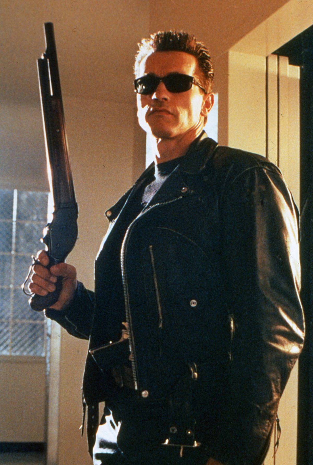 He's back: Arnold Schwarzenegger as the unstoppable Terminator.
