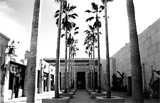 The Egyptian - Revived