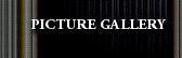 Picture Gallery